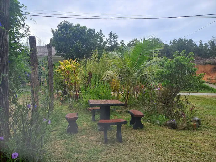 Bahtera homestay Picture 5