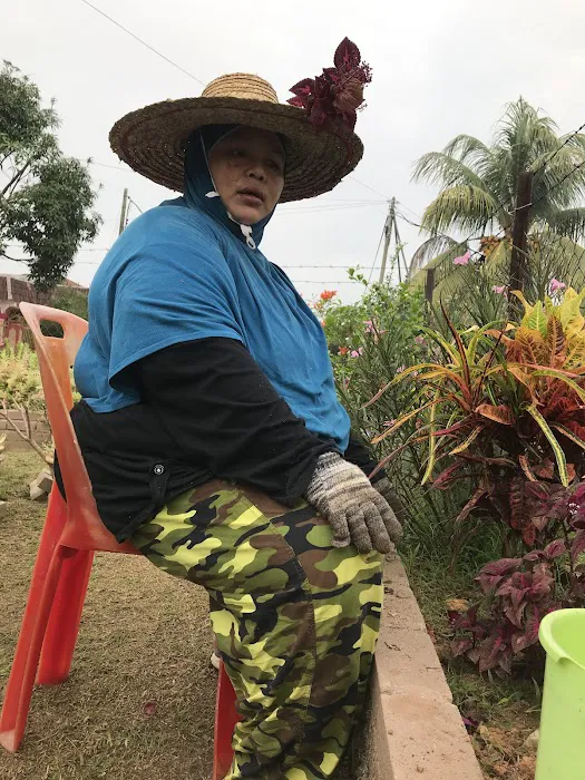 Homestay papi ku sayang Picture 2