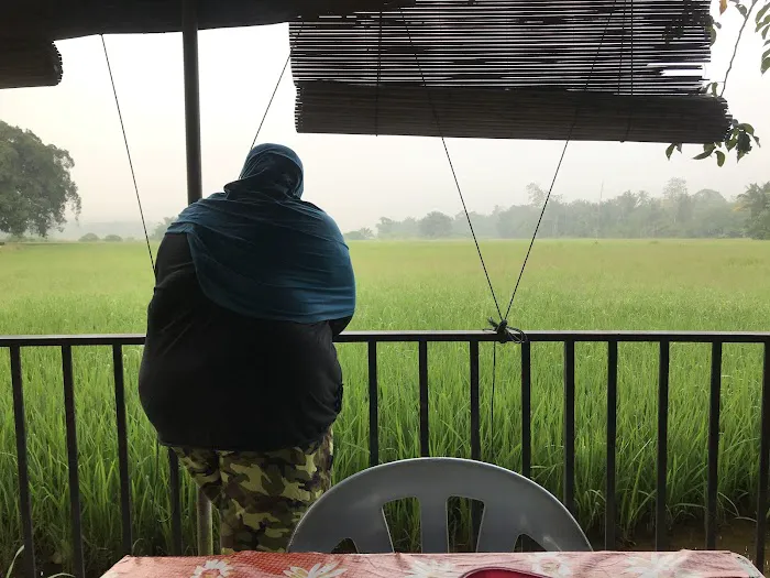 Homestay papi ku sayang Picture 6