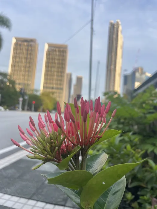 Somerset KL Metropolis Kuala Lumpur Picture 4