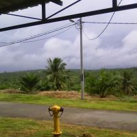 Perumahan FGV Kilang Sawit Seroja ico