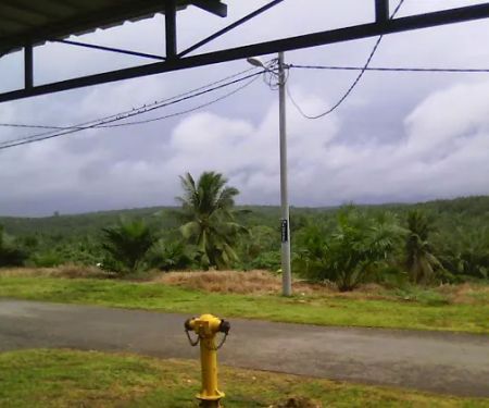 Perumahan FGV Kilang Sawit Seroja