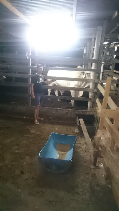 Amal Seri farm Picture 8