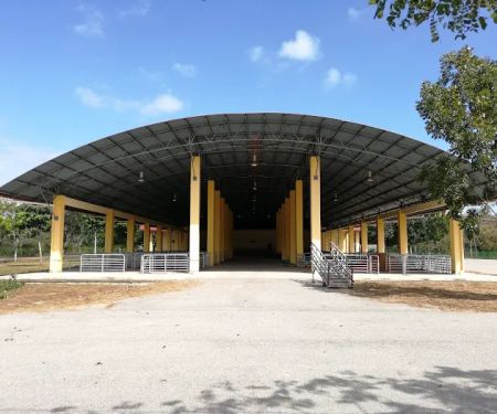 Pusat Lelongan, Projek Agropolitan Pekan