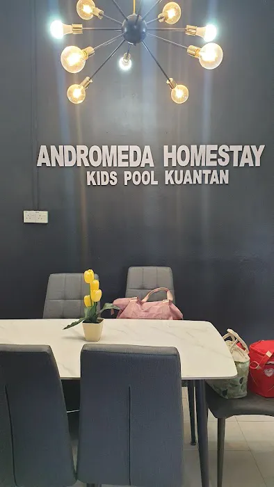 ANDROMEDA HOMESTAY Kids Pool Kuantan Picture 4
