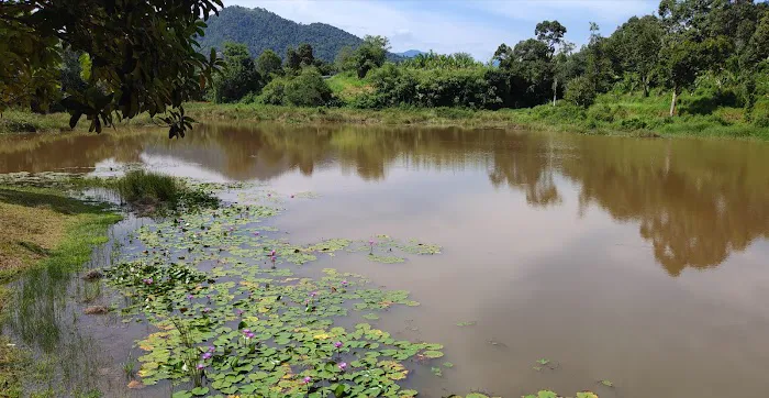 Tepian Tasek Hideout Picture 8