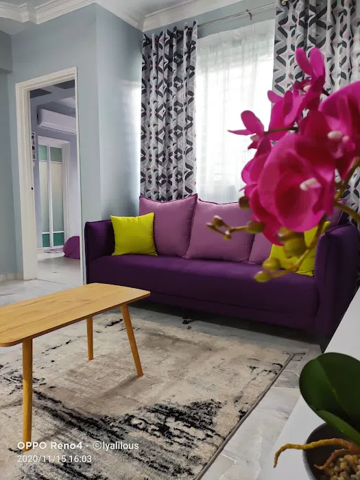 LZ Purple Homestay Picture 2