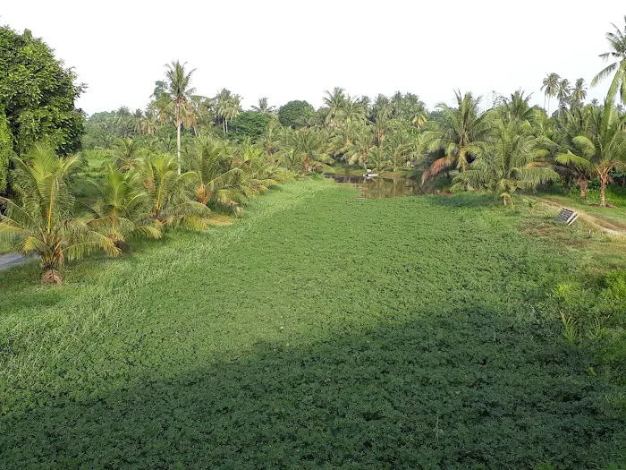 Taman Mesra Picture 3