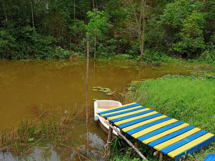 Kuala Kubu Baru Wind Valley Camping Site 新古毛风之谷露营地 Picture 5
