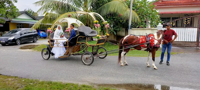 Hamzah Kereta Kuda Stable Picture 6