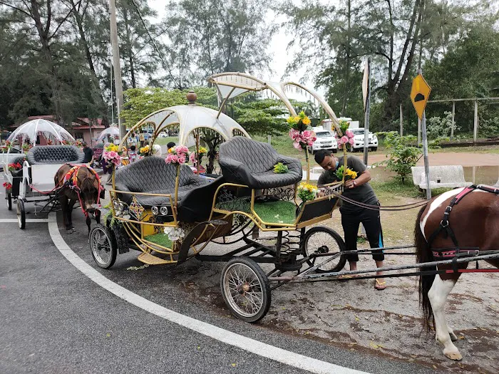 Hamzah Kereta Kuda Stable Picture 4