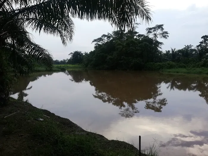 Darul Iman Homestay Teluk Intan Picture 1