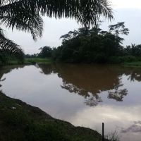 Darul Iman Homestay Teluk Intan ico