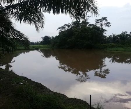 Darul Iman Homestay Teluk Intan