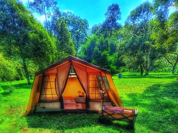 GO Glamping Picture 9
