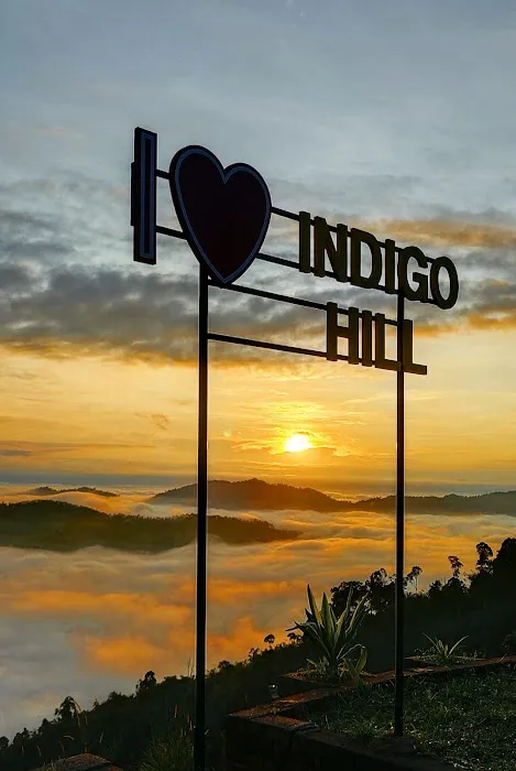 Indigo Hill Raub Picture 1