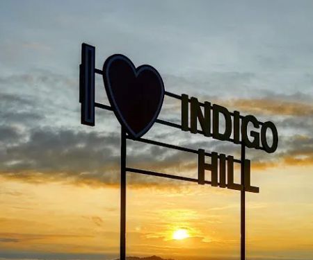 Indigo Hill Raub