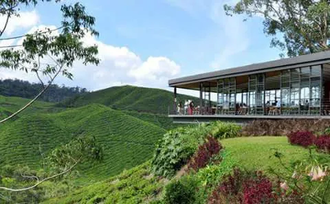 Villa Galaxy Homestay Picture 1