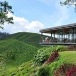 Villa Galaxy Homestay