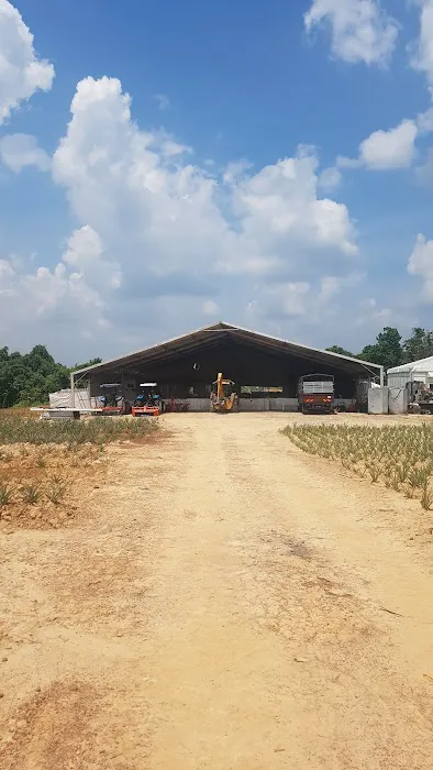 Pinapo Lanchang Picture 1