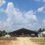 Pinapo Lanchang
