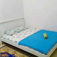 WAN HOMESTAY ico