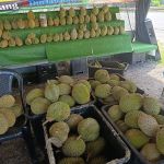 Taman Astana Permai IM12