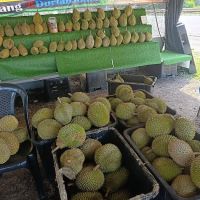 Taman Astana Permai IM12 ico