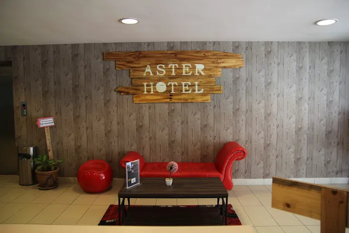 Aster+ Hotel Bukit Jalil Picture 2