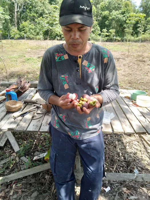 KAMPUNG BANGGOL KETEREH Picture 8