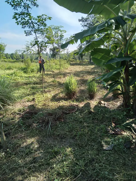 KAMPUNG BANGGOL KETEREH Picture 7