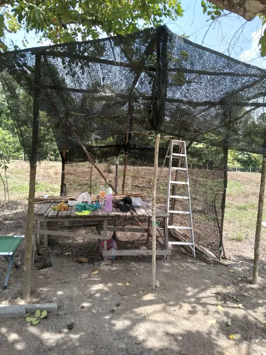 KAMPUNG BANGGOL KETEREH Picture 2