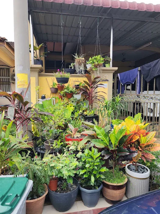 Salehah Guest House Picture 5