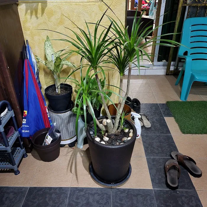 Salehah Guest House Picture 6