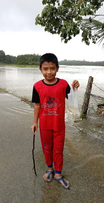 KG TEMENGGONG Picture 5