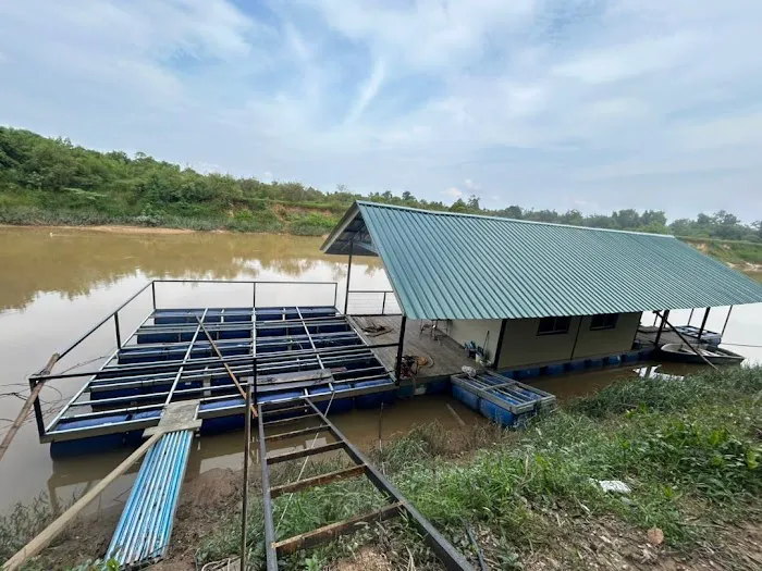 Rumah Rakit r2 ( House Boat ) Picture 1