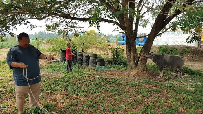 Homestay Bangau Picture 7