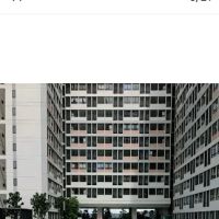 Brilliant homestay ico