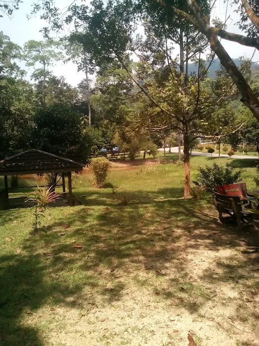 Kuarters Kakitangan Jabatan Perhilitan Picture 8