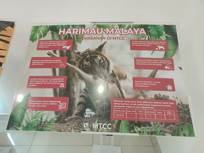 Kuarters Kakitangan Jabatan Perhilitan Picture 6