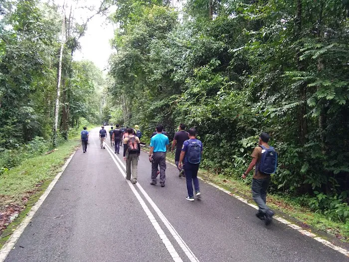 Kuarters Kakitangan Jabatan Perhilitan Picture 10
