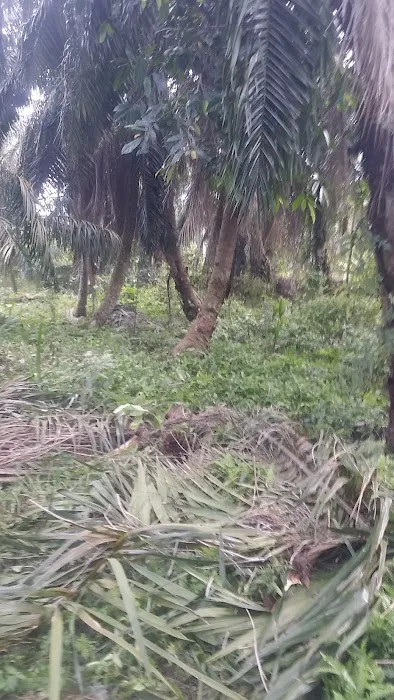 Taman Ilmu Bestari Jaya Picture 10