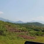 A 10 Homestay