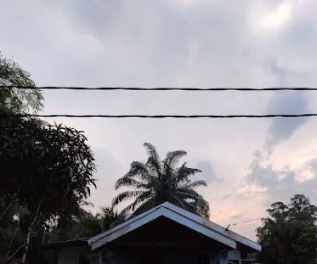 Chalet Dusun Tok Wan