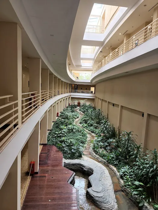 PULSE GRANDE Hotel Picture 5