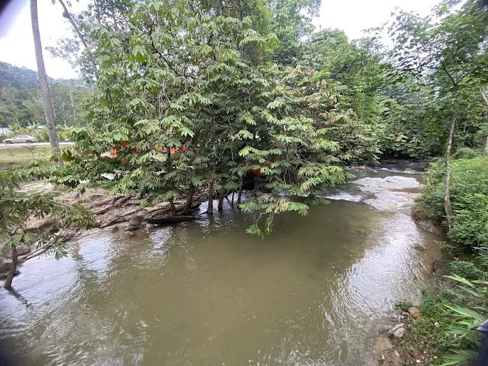 PONDOK ADI RIMBA Picture 4