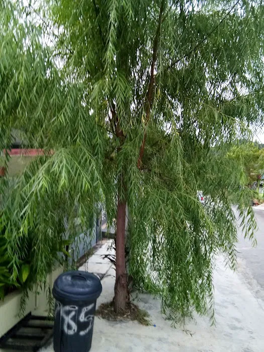 Homestay Slim Picture 7