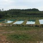 Kolam Pancing Sedi 69