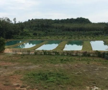 Kolam Pancing Sedi 69