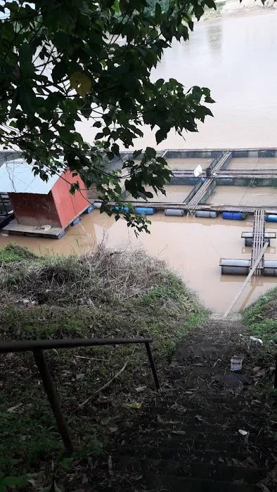 River View Homestay Picture 6